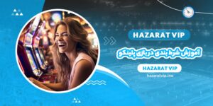 آموزش شرط بندی در بازی پلینکو